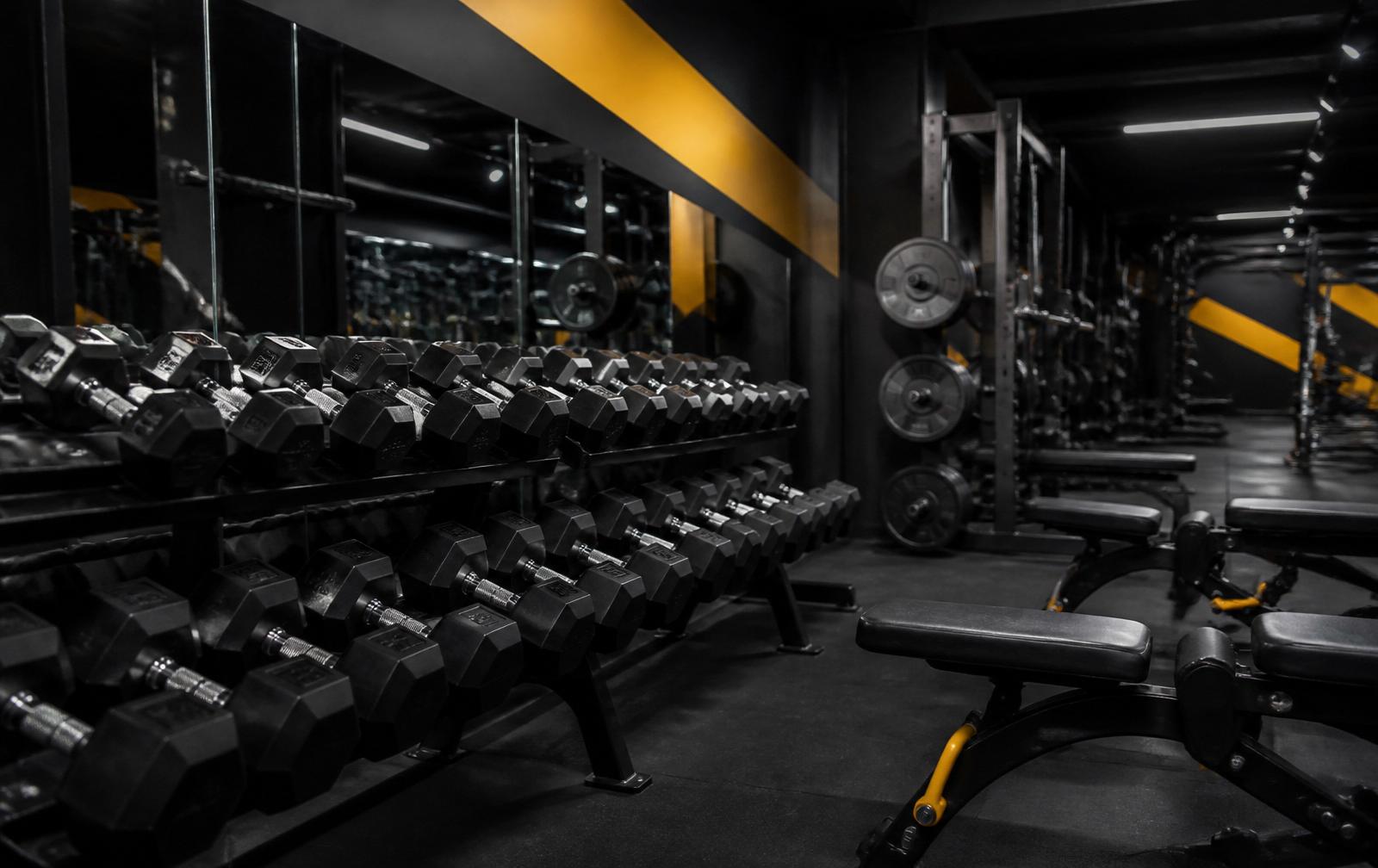 Interior da H2 Fit com equipamentos de musculação